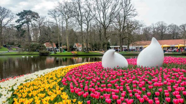 Keukenhof