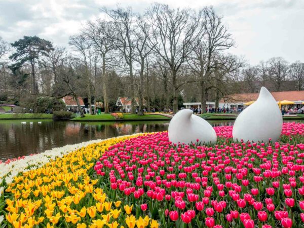 Keukenhof